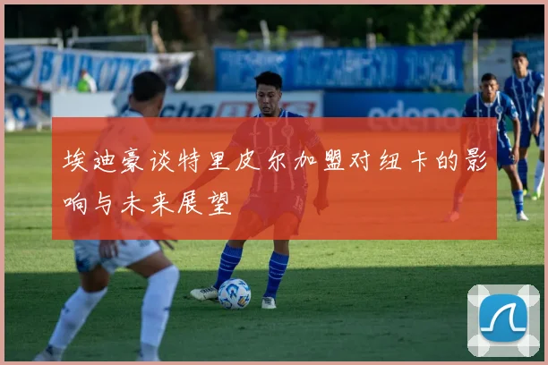 埃迪豪谈特里皮尔加盟对纽卡的影响与未来展望